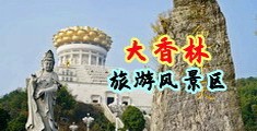 男生的大屌插进女生的逼里视频中国浙江-绍兴大香林旅游风景区
